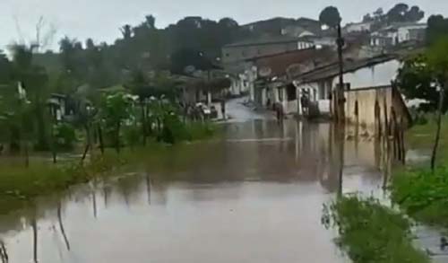 Morador registra nivel da água do Rio Mundaí em União dos Palmares