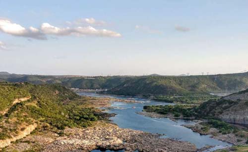 Mototaxista é esfaqueado, tem moto roubada e colegas tiram foto do criminoso