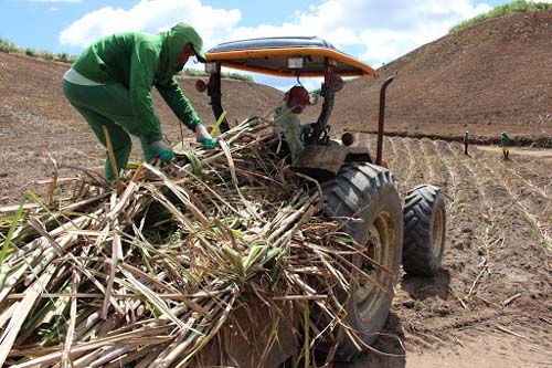 Safra 20/21: contagem regressiva para o fim da moagem