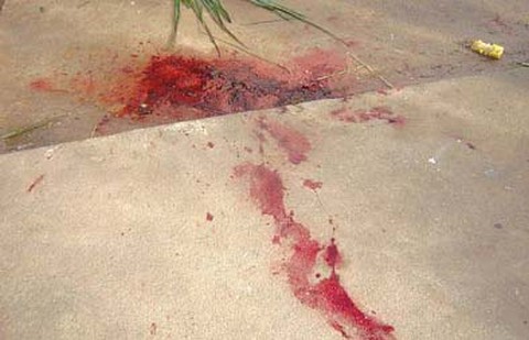 Polícia registra morte de duas pessoas a tiros e pauladas em Maceió