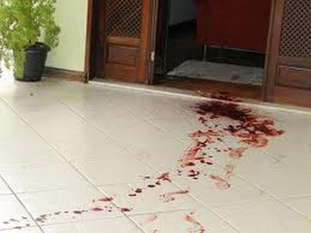  Agreste: PM registra nove crimes contra a vida em 24 horas