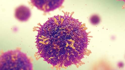 Sarampo faz corpo 'esquecer' como combater infecções, dizem cientistas