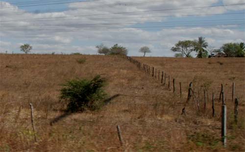 Governo Federal reconhece emergência por estiagem em cinco cidades de Alagoas