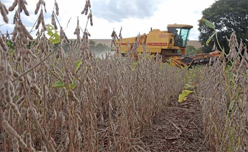 Pior seca em 60 anos desfere duro golpe na economia da Argentina