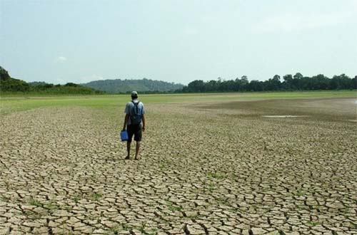 Brasil registra a pior seca da história em 2024