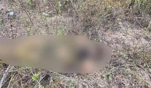 Investigações apontam possível conexão entre duas mortes em Morro de Junqueiro