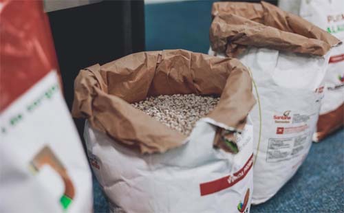 Programa dá acesso às sementes de milho, feijão, sorgo e arroz aos pequenos produtores