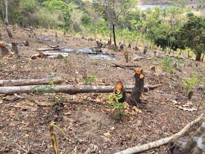 Estado planeja ações para coibir crimes ambientais na Serra dos Frios