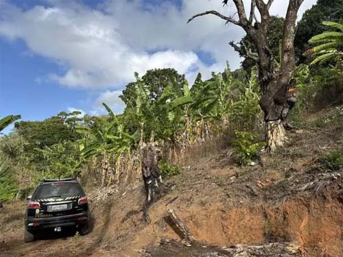 Operação contra invasor destrói área protegida no Monumento Serra da Barriga