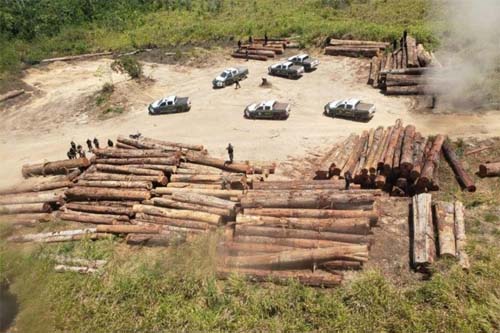 Servidores federais ambientais iniciam greve por reestruturação de carreira