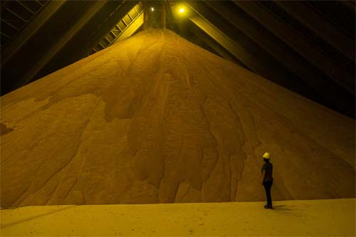 Impasse entre EUA e China amplia protagonismo do Brasil nas exportações de soja