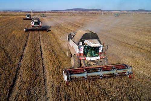 Soja brasileira tem tecnologia para aumento de produção sem pressão por áreas de florestas