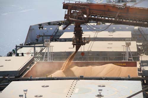 Após negociações comerciais com os EUA, China avança em compras de soja do Brasil