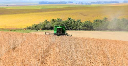 A agricultura deve sentir os efeitos do La Niña durante o outono