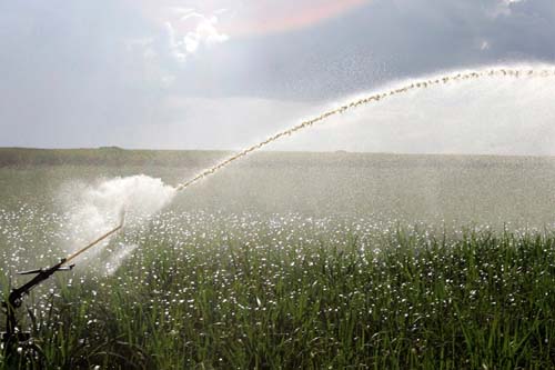 Alta umidade do solo favorece plantio de soja no Brasil em outubro