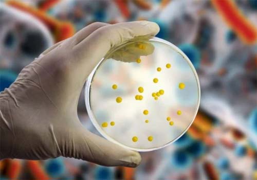 Menina de 11 anos contrai gonorreia após mergulhar em piscina termal