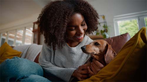 Conexão intensa com cachorro reduz risco de depressão e ansiedade