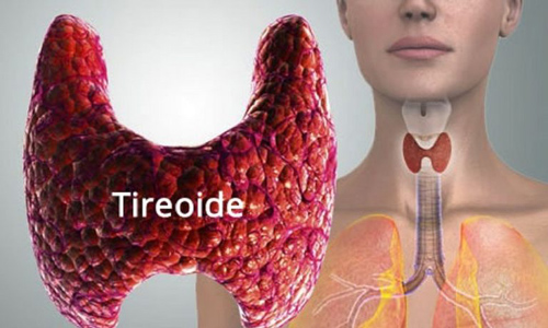 5 sinais de que você pode estar com problemas na tireoide