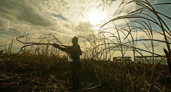 Combate ao Trabalho Escravo no Brasil: 'Patrão disse que se denunciássemos não sairíamos com vida'