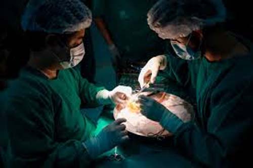 Alagoas registra mais de 630 pessoas na lista de espera por doações de órgãos