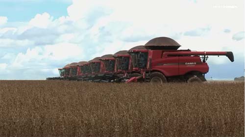 Brasil entre a fartura de cereais para exportar e a fome entre o povo