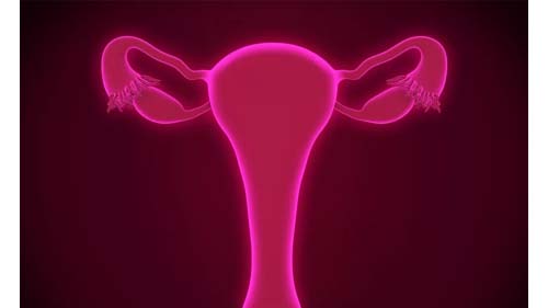 Remoção das trompas: entenda cirurgia preventiva para câncer de ovário