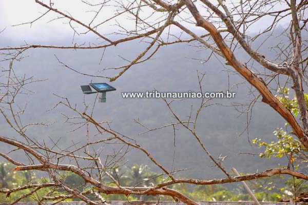 Sete horas após incêndio criminoso na 'Serra dos Frios', natureza dá a resposta e porporciona chuva em União dos Palmares