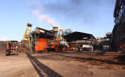 Safra 22/23 conta com maioria das usinas em operação