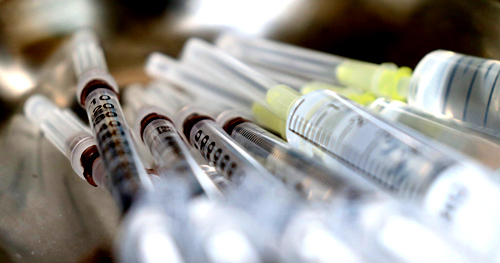 Potencial vacina brasileira contra covid-19 começa a ser testada em animais