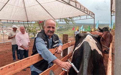 Adeal inicia oficialmente a campanha de vacinação contra aftosa de 2022