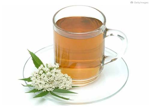 Saiba como a valeriana ajuda a controlar ansiedade e aprenda a usá-la