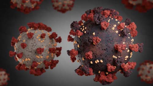 Variante gama é mais agressiva que cepa original do novo coronavírus, diz estudo
