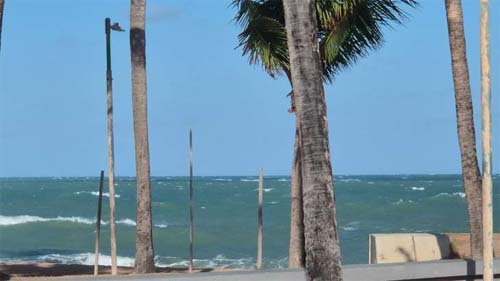 Rajadas de vento incomuns na orla de Maceió mobilizam moradores e autoridades