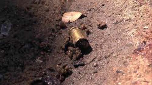 Irmãos mortos assaltaram e espancaram idosos a mando do neto