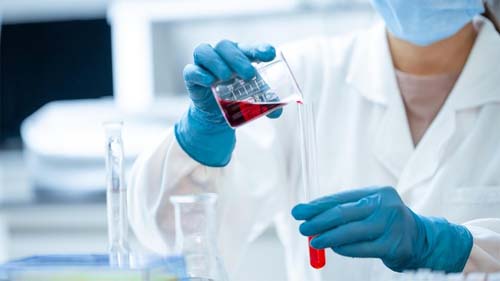 Ministério da Saúde alerta sobre risco do vírus Nipah no território nacional