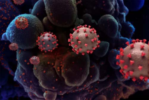 Os vírus que ficam 'escondidos' no corpo e podem causar problemas depois de décadas